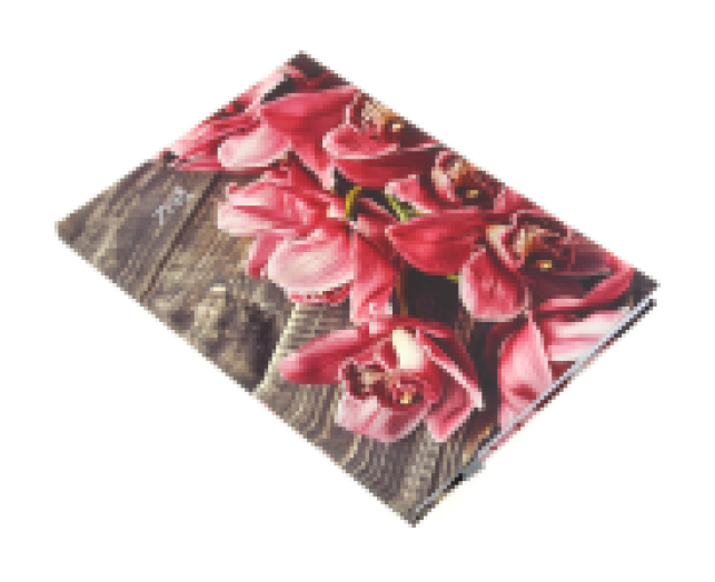 Agenda B/5 heti Picture 5611