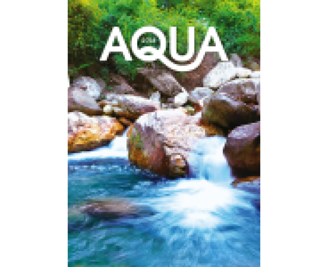 Falinaptár Aqua 6094