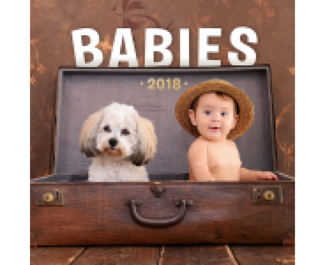 Falinaptár Babies 6097