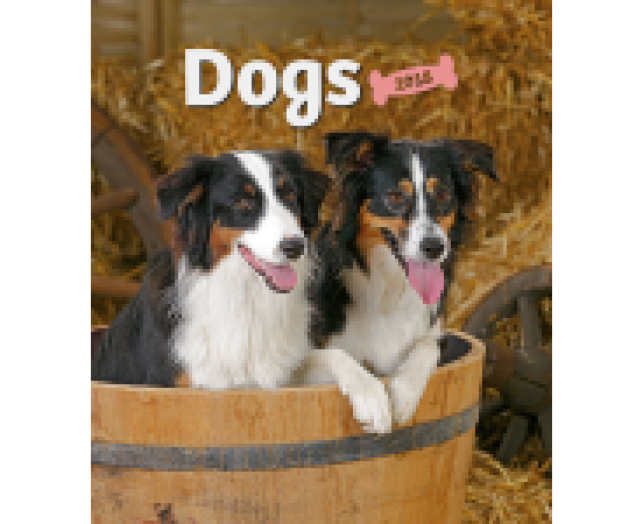 Falinaptár Dogs 6087