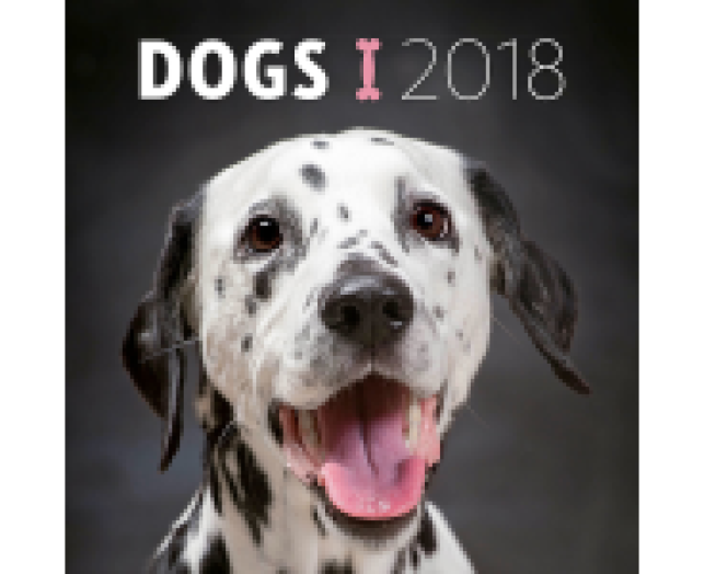 Falinaptár Dogs 6097