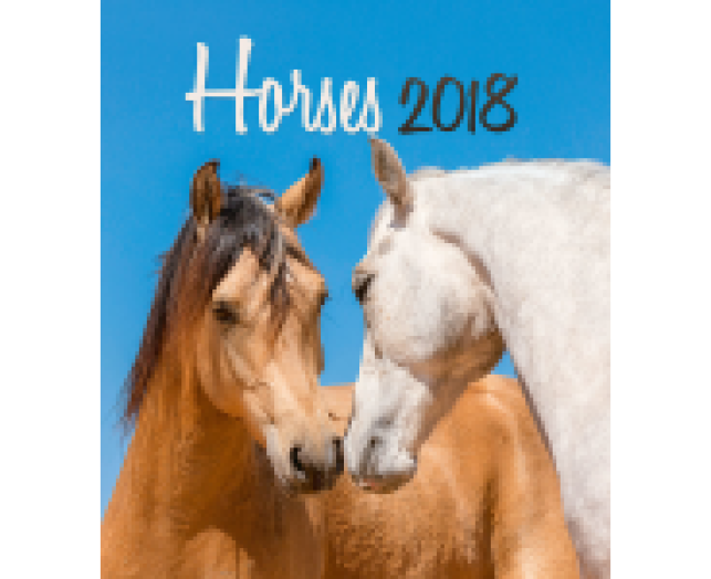 Falinaptár Horses 6087