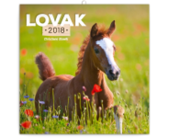 Falinaptár Horses 6097