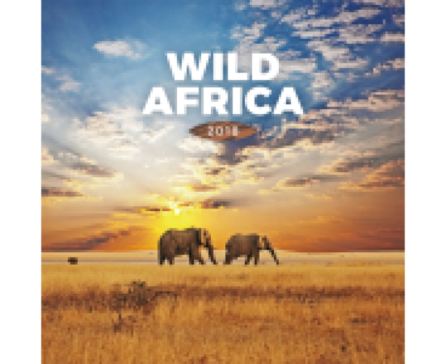 Falinaptár Wild Africa 6097