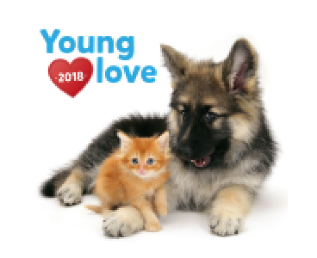 Falinaptár Young Love 6097