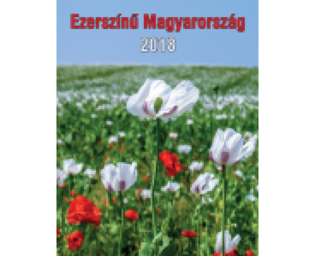 TopTimer falinaptár T093 Ezerszínű Magyarország