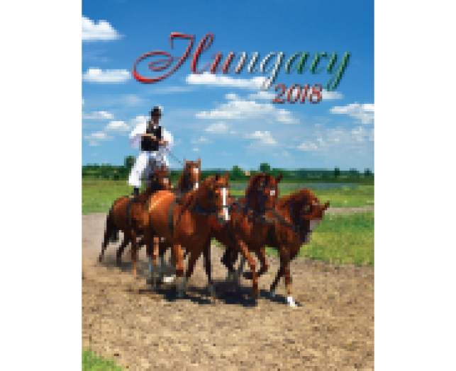 TopTimer falinaptár T093 Hungarikum