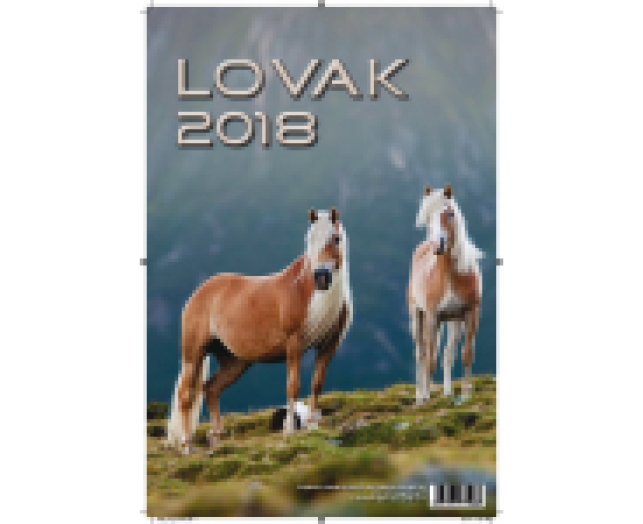 TopTimer falinaptár T094 Lovak
