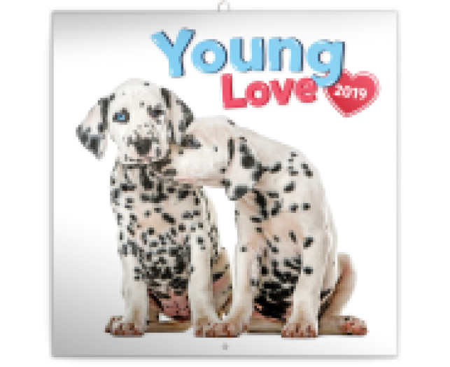 Falinaptár Young Love 6097