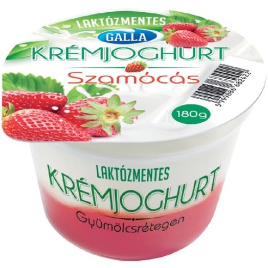 Galla laktózmentes gyümölcsjoghurt