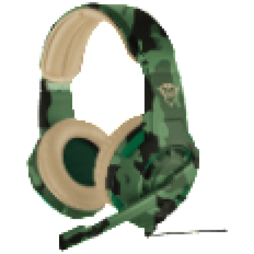 22207 GXT 310C RADIUS GM HS/JUN.CAM