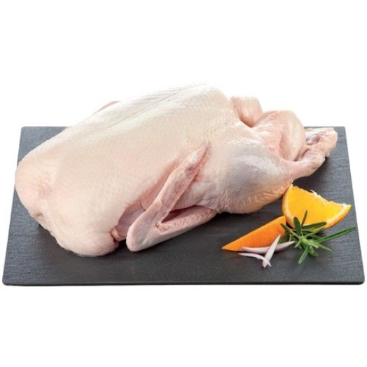 Friss pecsenyekacsa