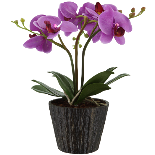 ORCHID VIRÁGCSERÉP 7XLED 0,06W 4,5V ELEMMEL LILA Outlet