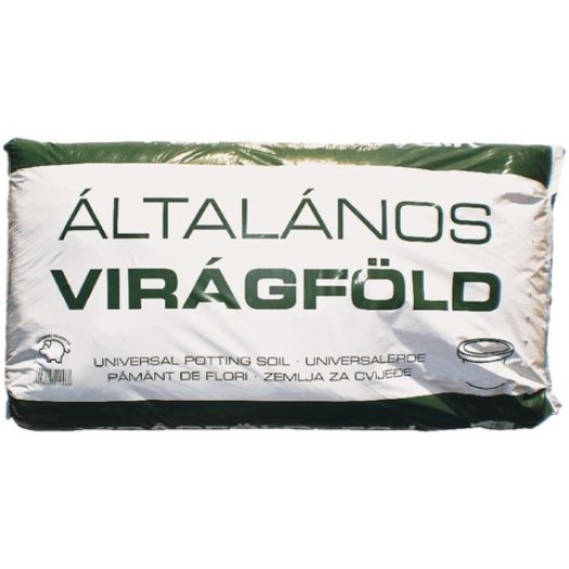 Sandis virágföld