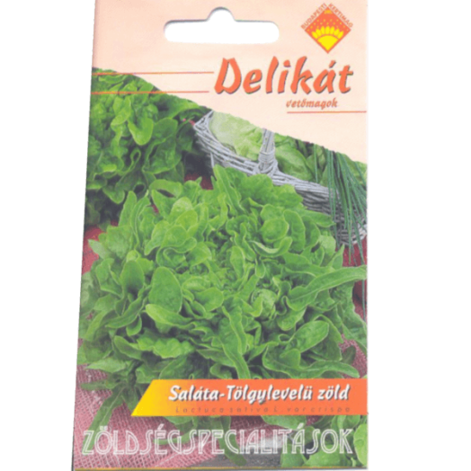 SALÁTA, TÖLGYLEVELŰ ZÖLD DELIKÁT VETŐMAG