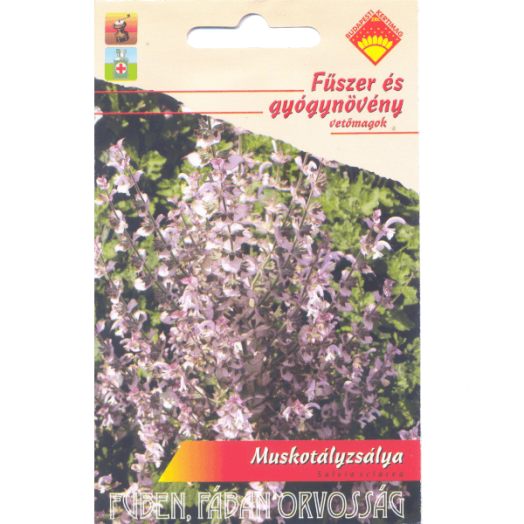 MUSKOTÁLYZSÁLYA FŰSZER ÉS GYÓGYNÖVÉNY VETŐMAG