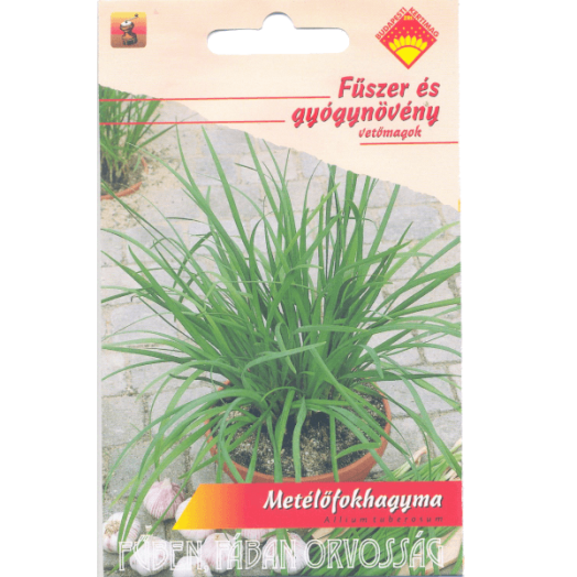 METÉLŐFOKHAGYMA FŰSZER- ÉS GYÓGYNÖVÉNY VETŐMAG