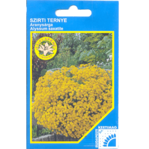 ALYSSUM SZIKLAKERTI