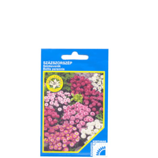 BELLIS PERENNIS SZIKLAKERTI
