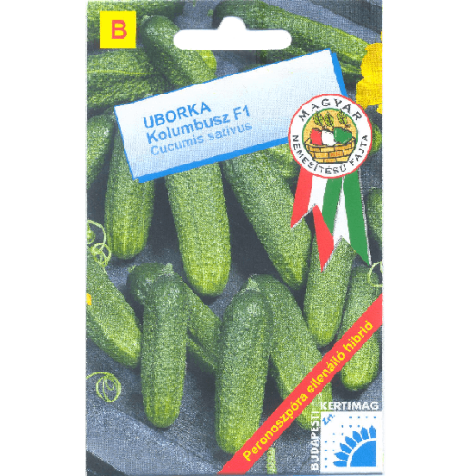 UBORKA KOLOMBUSZ F-1 MAGYAR FAJTA B