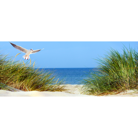 ÜVEGKÉP 50X125CM SIRÁLY (ZORAN) (SEAGULL) Outlet