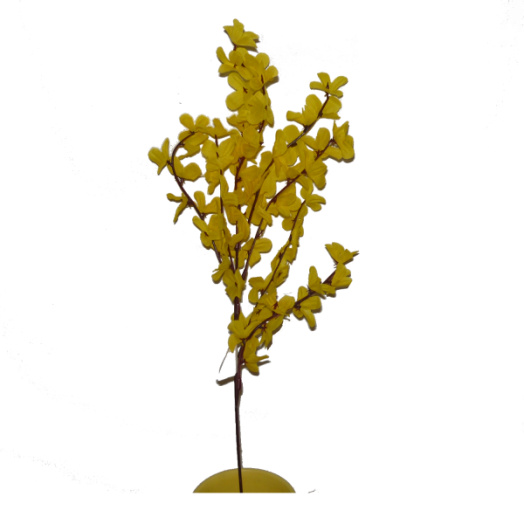 ARANYESŐ 3 ÁGÚ                      55CM                    TAVASZ 2015