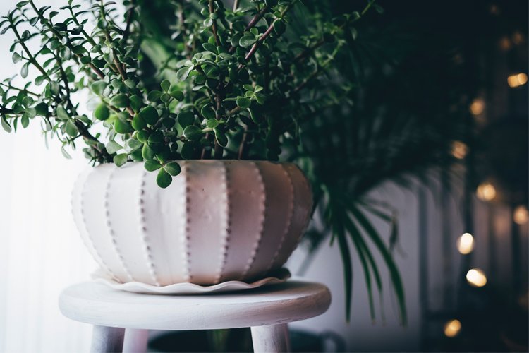 Tavaszi home dekor fillérekből