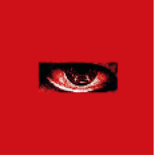 Kwon Ji Yong (CD)