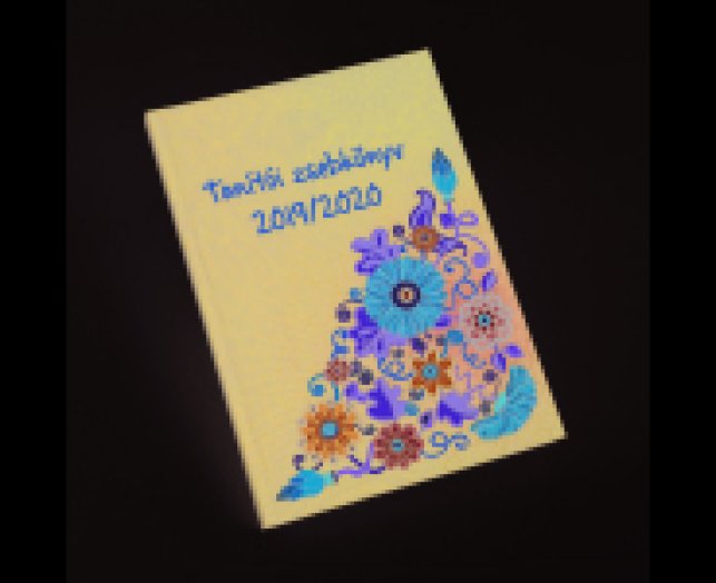 Tanítói zsebkönyv bagoly