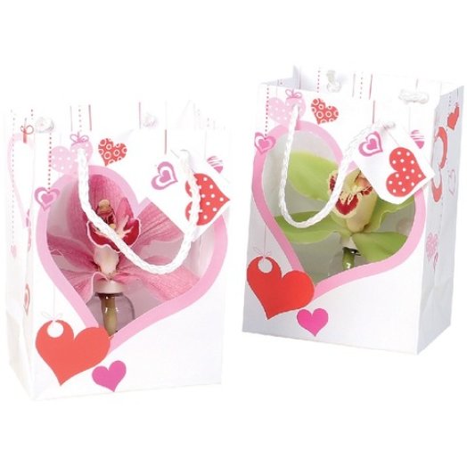 Cymbidium dísztasakban