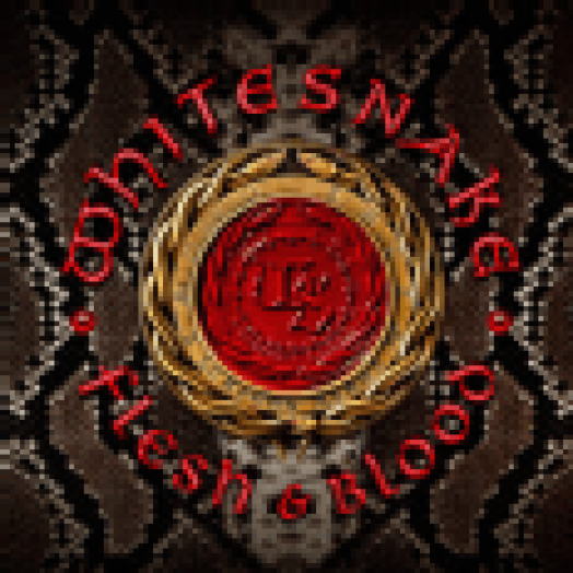 Flesh & Blood (Digipak) (CD + DVD)