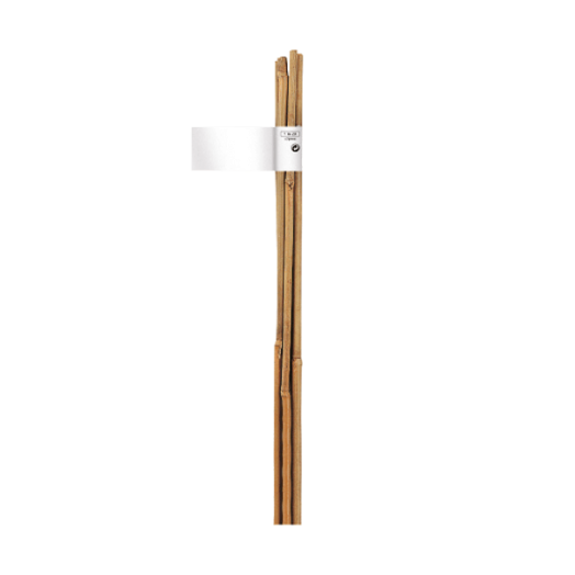 BAMBUSZ NÖVÉNYTÁMASZ 210CM, ÁTMÉRŐ:16-18MM