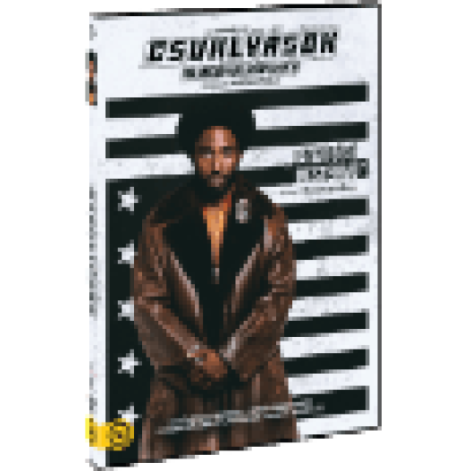 Csuklyások - BlacKkKansman (DVD)