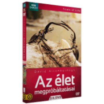 Az élet megpróbáltatásai 3-4. (díszdoboz) DVD