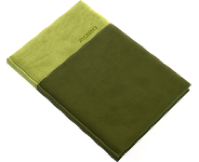 Agenda B5 heti LUX 5611 zöld