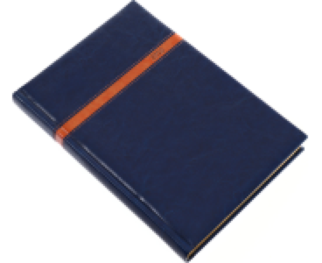 Agenda B/5 napi Business 5624