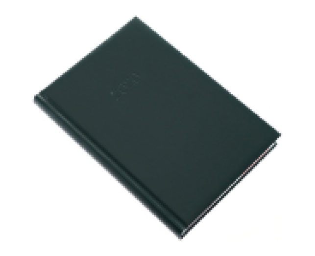 Agenda B/5 napi Standard 5621 zöld