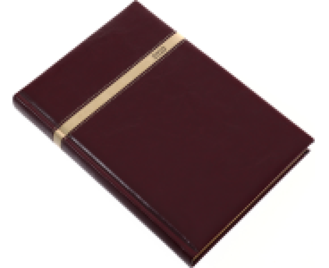 Agenda B/5 napi Business 5624