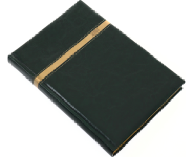 Agenda B5 napi Business 5624 zöld
