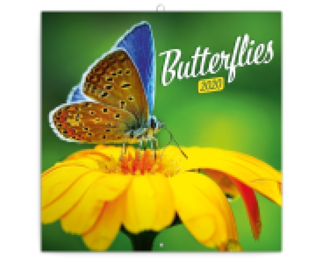 Falinaptár Butterfly 6097