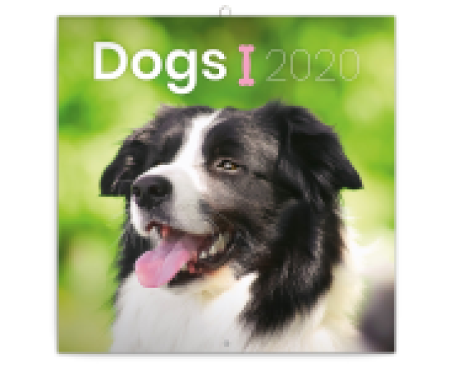 Falinaptár Dogs 6097