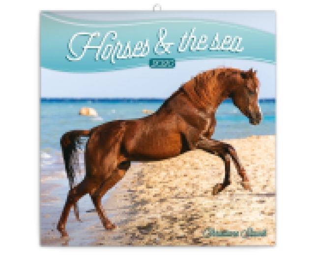 Falinaptár Horses & the Sea 6097