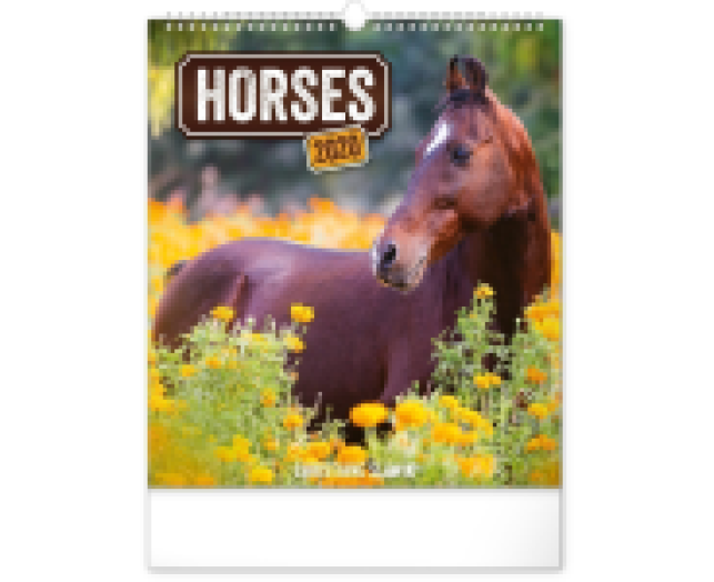 Falinaptár Horses 6087
