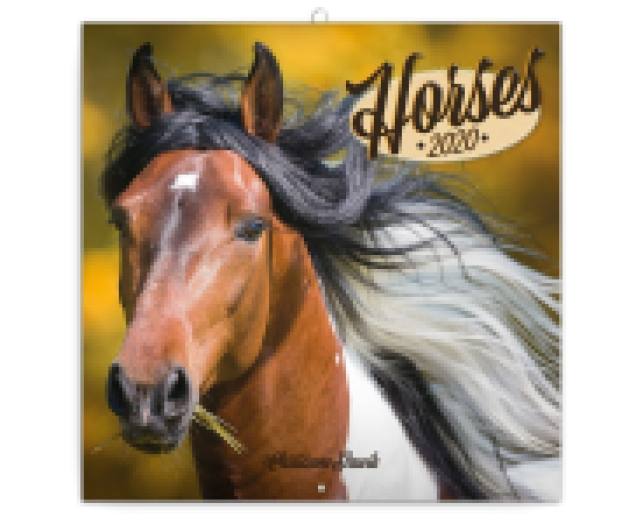 Falinaptár Horses 6097