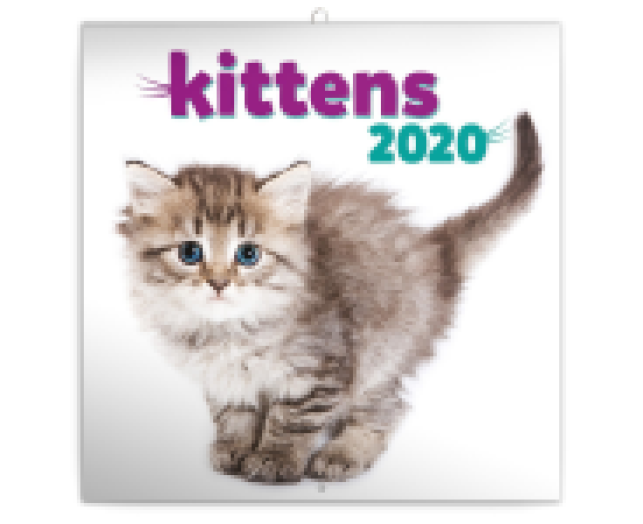 Falinaptár Kittens 6097