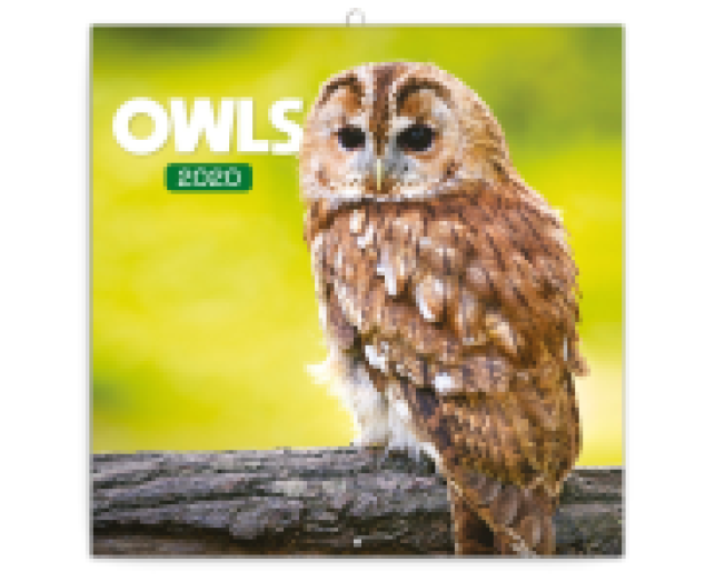 Falinaptár Owls 6097
