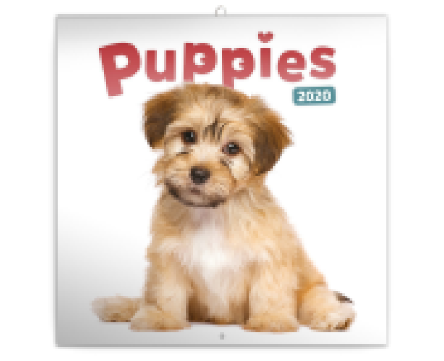 Falinaptár Puppies 6097