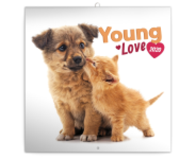 Falinaptár Young Love 6097