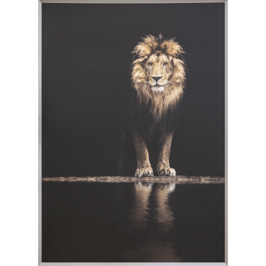 KERETEZETT KÉP OROSZLÁN 100X140CM
