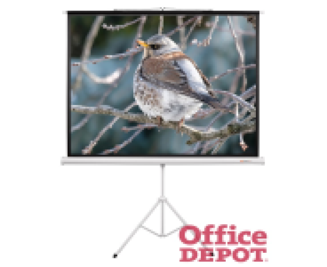 Funscreen Tripod 4:3 180cm×240cm hordozható 3 lábú állványos vetítővászon